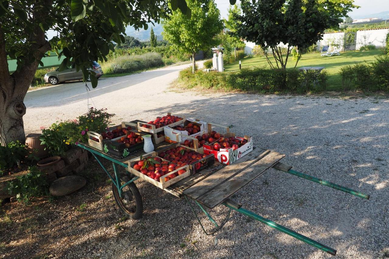 Agriturismo Fior Di Maggio Pescantina Extérieur photo