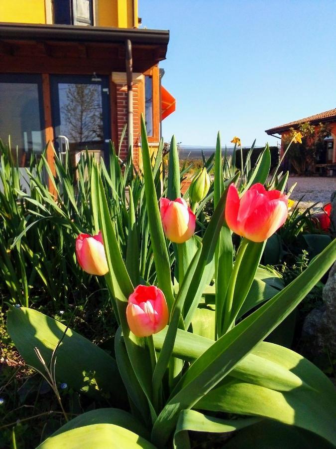 Agriturismo Fior Di Maggio Pescantina Extérieur photo