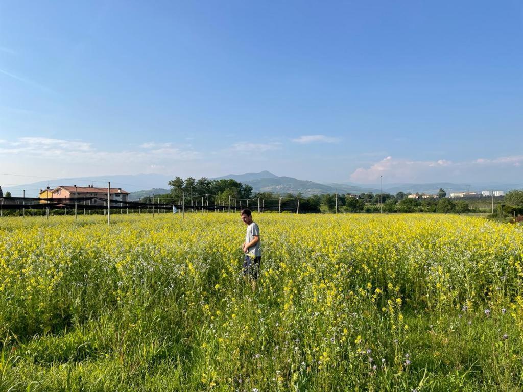 Agriturismo Fior Di Maggio Pescantina Extérieur photo