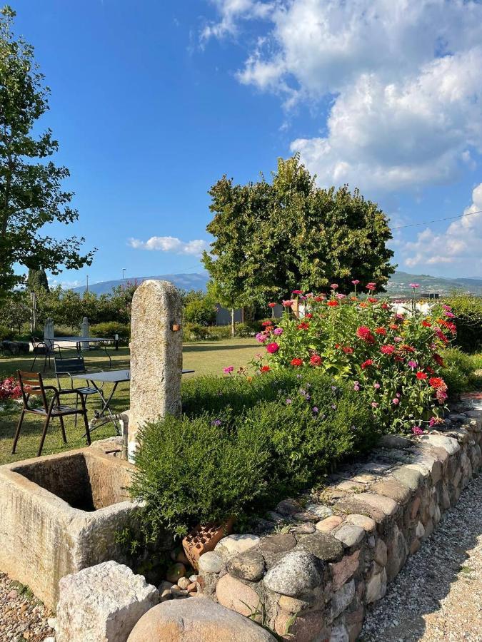 Agriturismo Fior Di Maggio Pescantina Extérieur photo