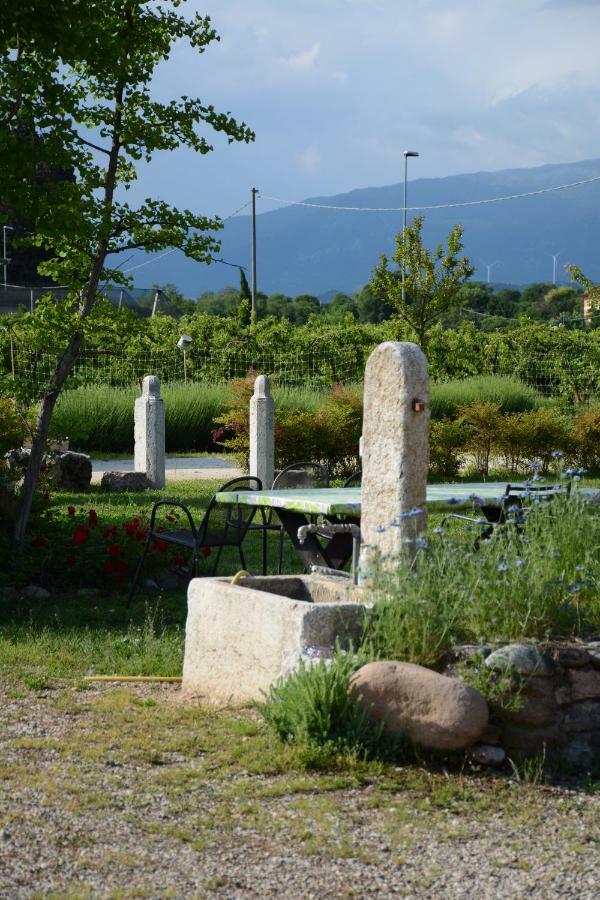 Agriturismo Fior Di Maggio Pescantina Extérieur photo